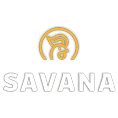 2lphin.com-savana-group-logo